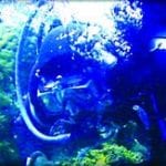 article image - 
